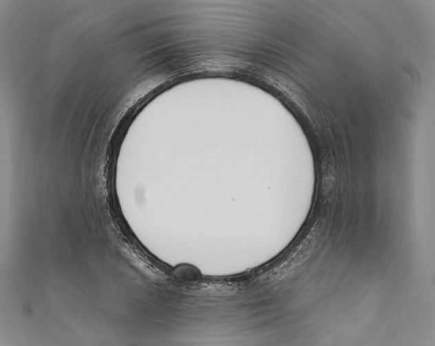 X0000110691026200907101144