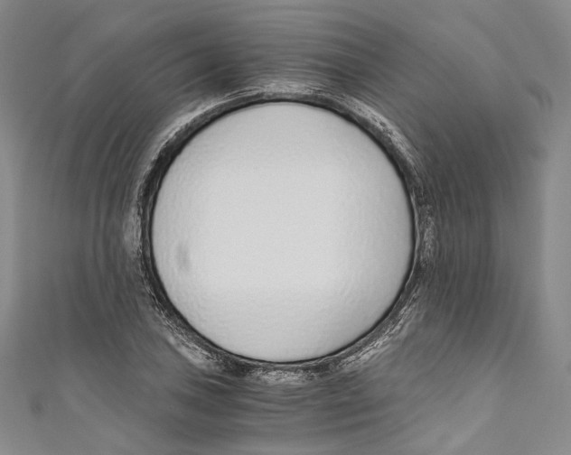 X0000110691027200907101144