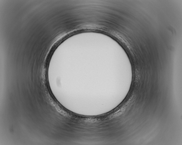 X0000110691029200907101144