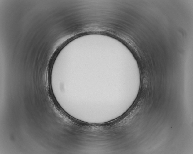 X0000110691030200907101144