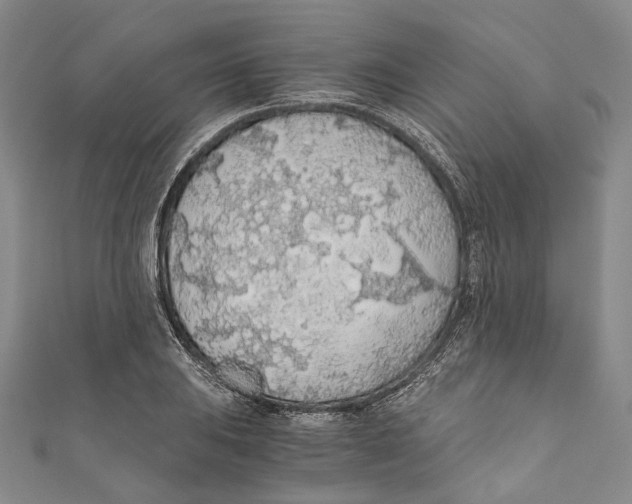 X0000110691031200907101144