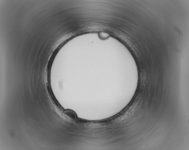 X0000110691034200907101144