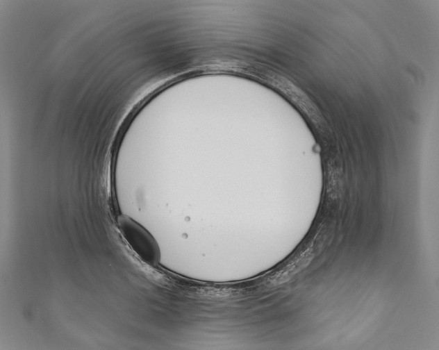 X0000110691036200907101144