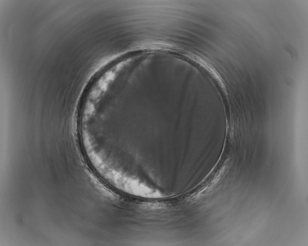 X0000110691037200907101144