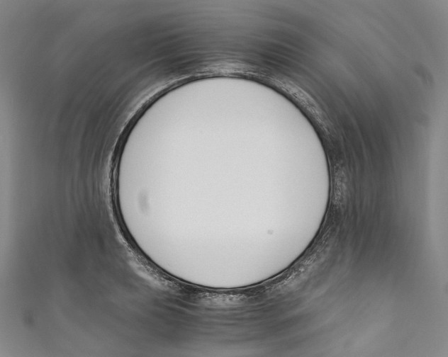 X0000110691039200907101144