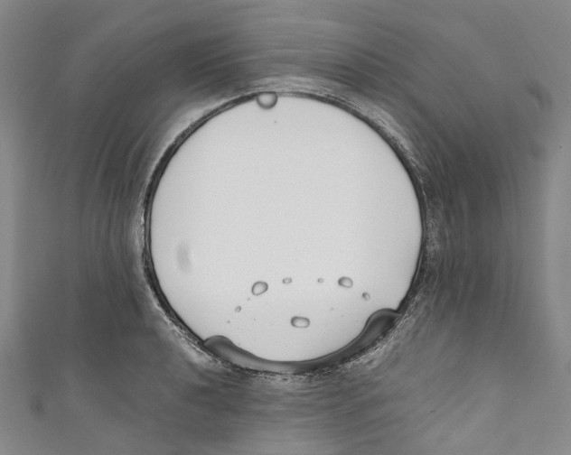 X0000110691040200907101144