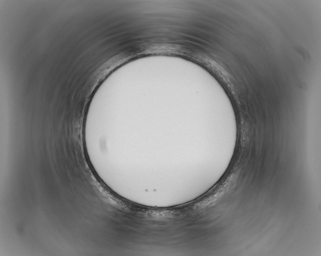 X0000110691041200907101144