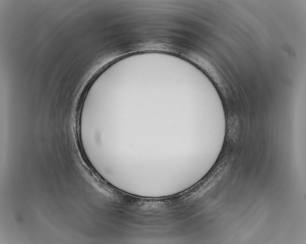 X0000110691043200907101144