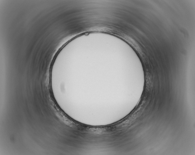 X0000110691044200907101144