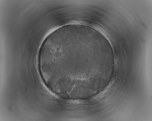 X0000110691045200907101144