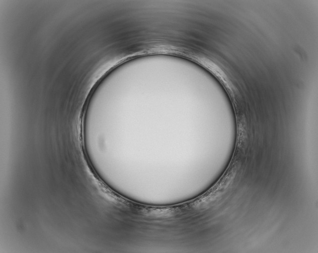 X0000110691047200907101144