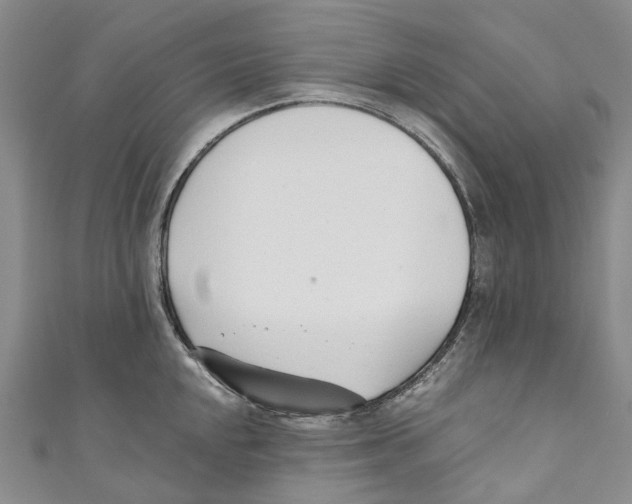 X0000110691048200907101144