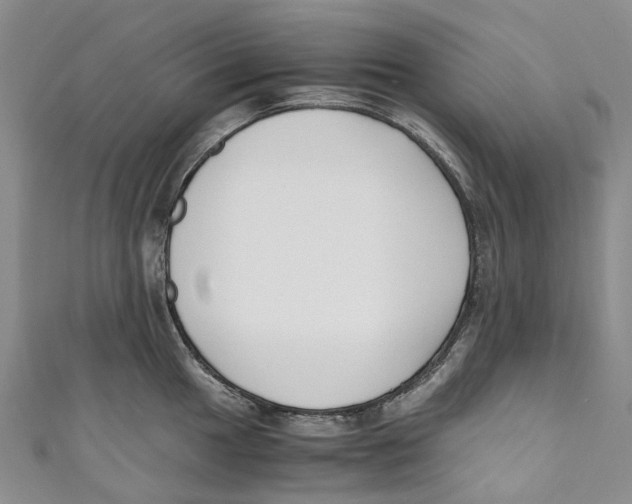 X0000110691049200907101144