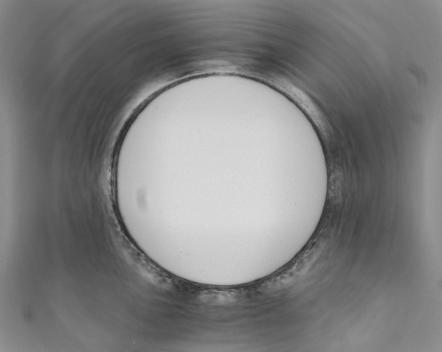 X0000110691051200907101144