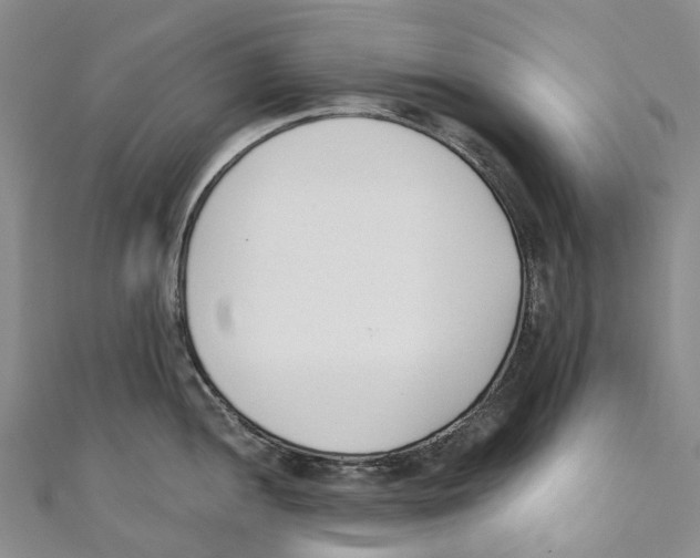 X0000110691052200907101144