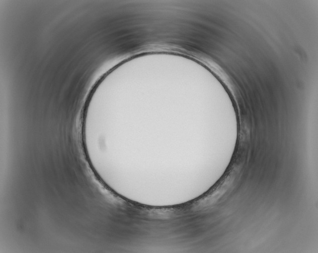 X0000110691053200907101144