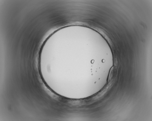 X0000110691054200907101144