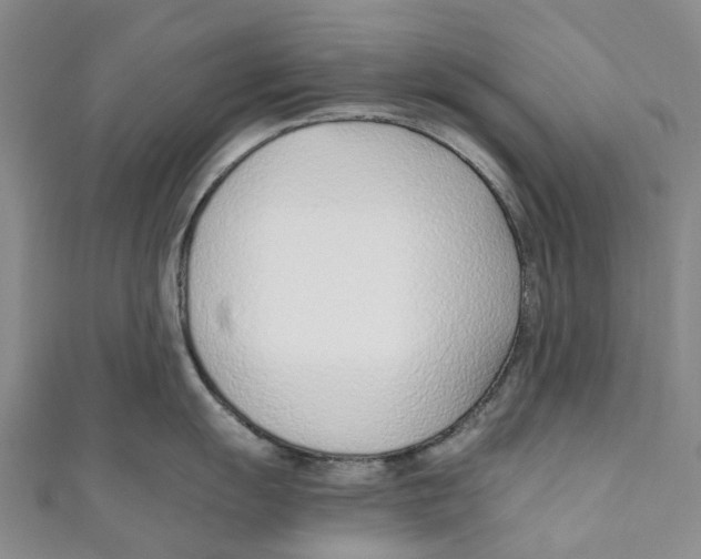 X0000110691055200907101144