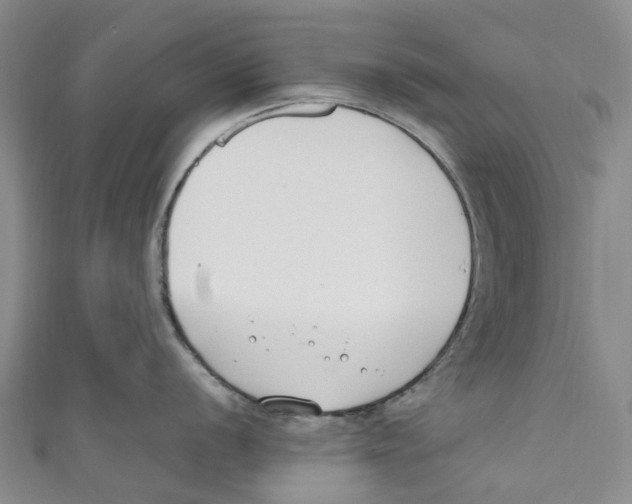 X0000110691056200907101144