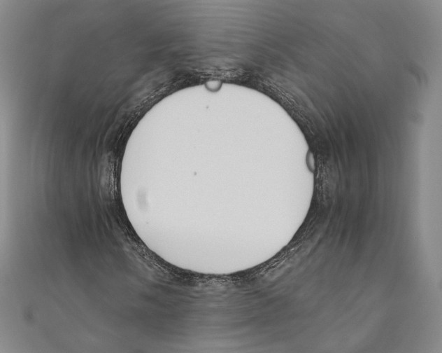 X0000110691058200907101144