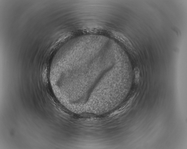 X0000110691060200907101144