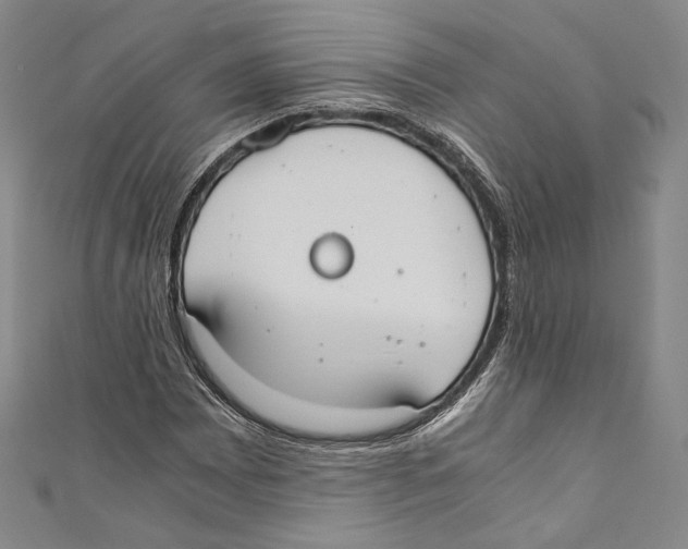 X0000110691065200907101143