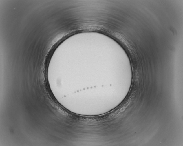 X0000110691071200907101143