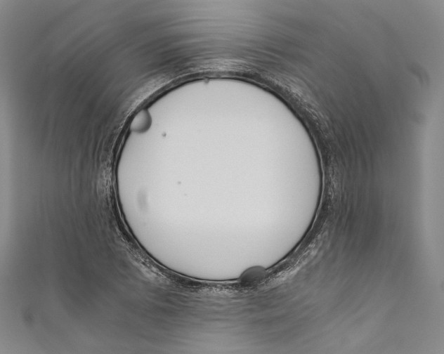 X0000110691073200907101143