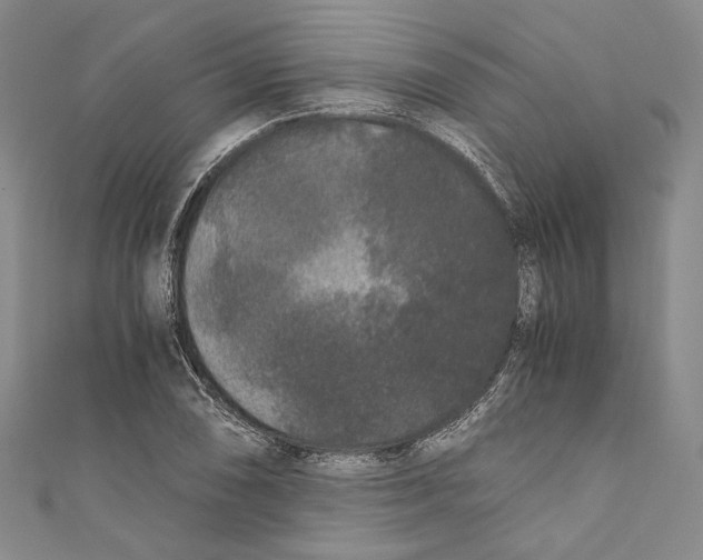 X0000110691074200907101143