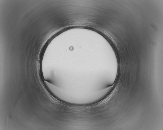 X0000110691077200907101143