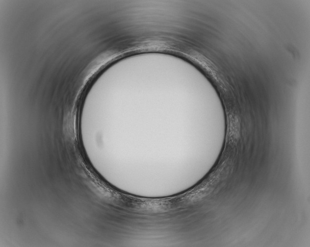 X0000110691078200907101143