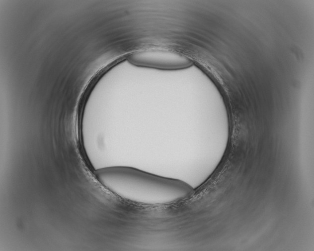 X0000110691080200907101143