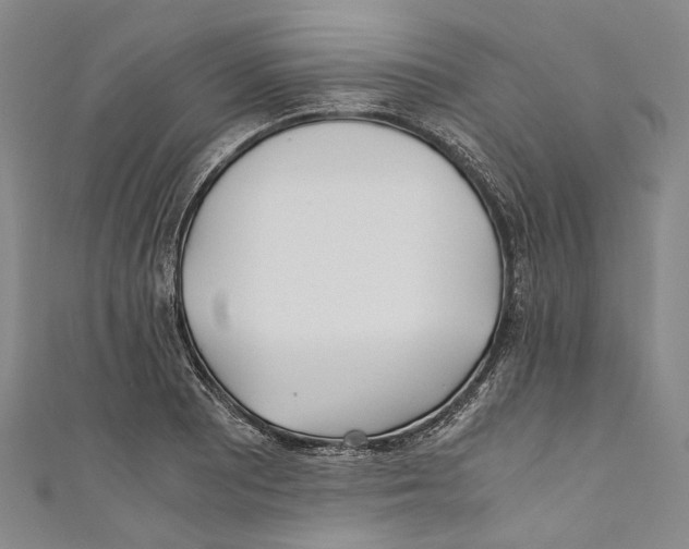 X0000110691081200907101143