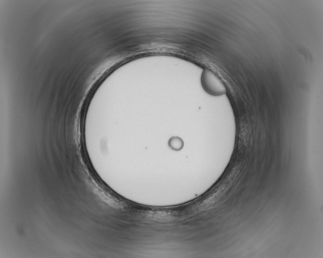 X0000110691082200907101143