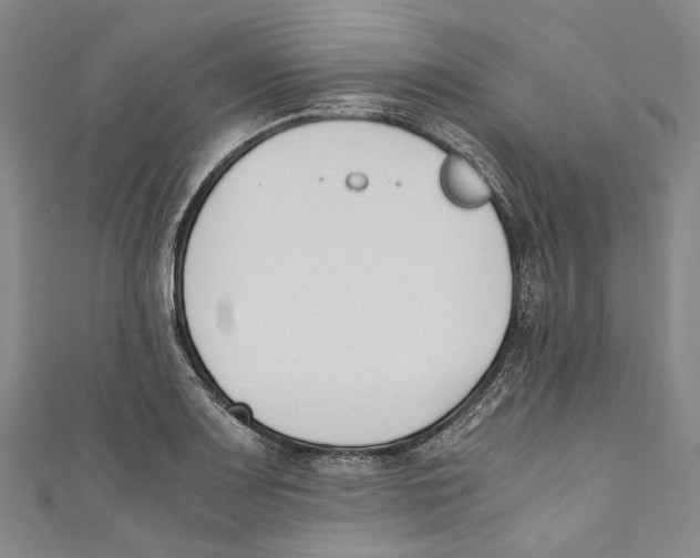 X0000110691083200907101143