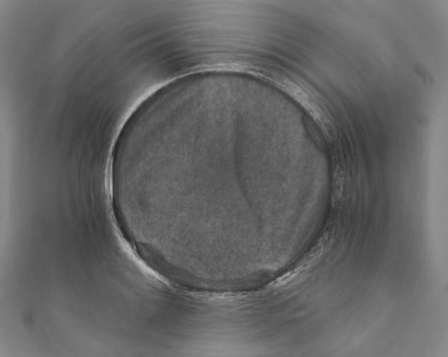 X0000110691084200907101143