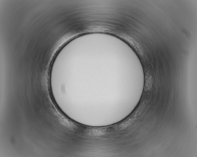 X0000110691086200907101143