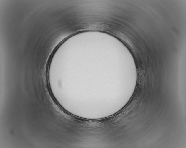 X0000110691087200907101143