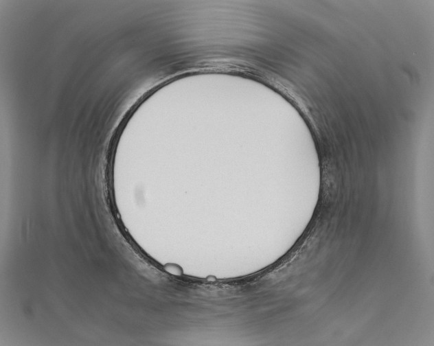 X0000110691091200907101143