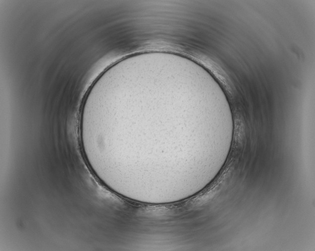 X0000110691094200907101143