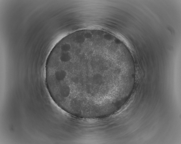 X0000110691095200907101143