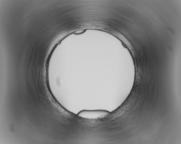 X0000110691096200907101143