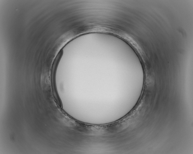 X0000110691097200907101143