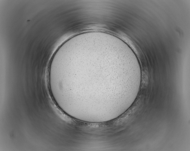 X0000110691098200907101143