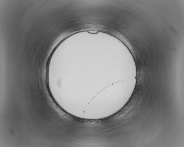 X0000110691099200907101143