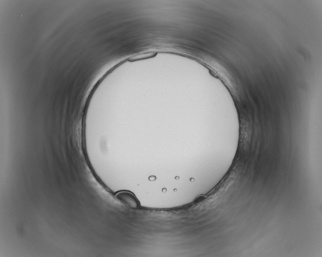 X0000110691100200907101143