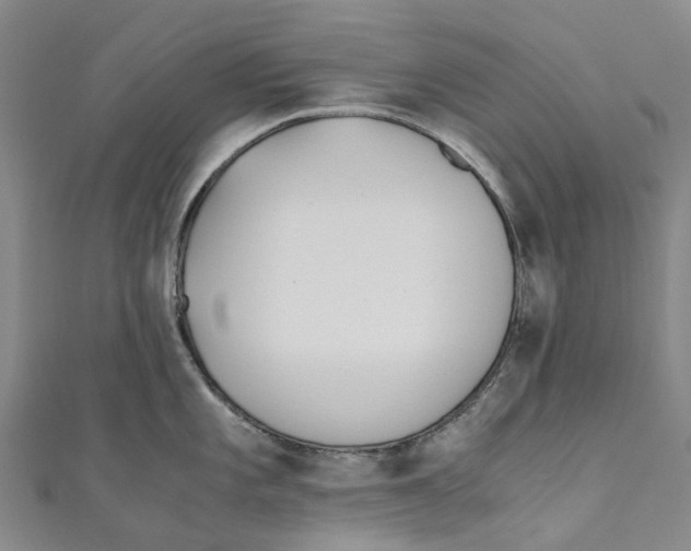 X0000110691101200907101143