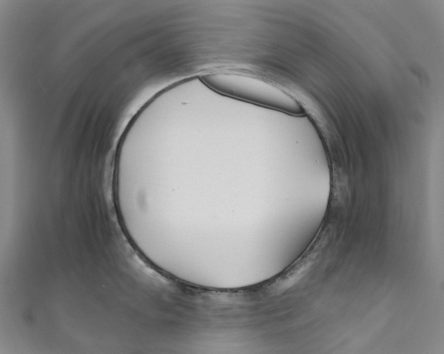 X0000110691102200907101143