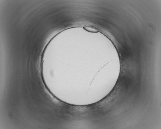 X0000110691103200907101143