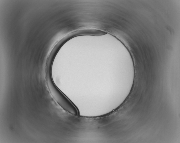 X0000110691104200907101143